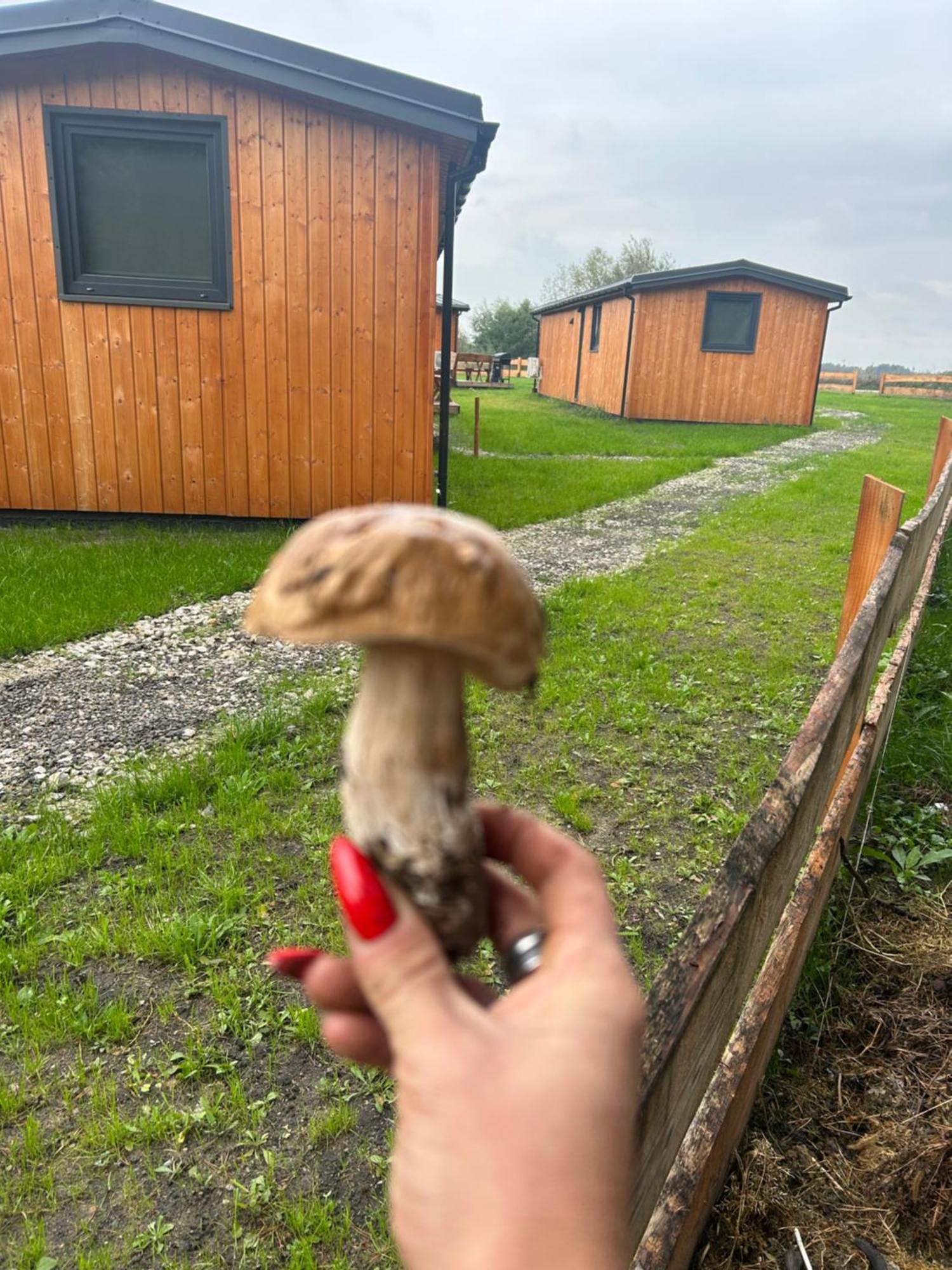 Zacisze Obok Suntago Park Hotel Grabce-Towarzystwo Buitenkant foto